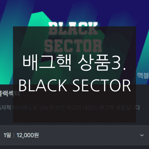 배그핵 상품3. BLACK SECTOR
