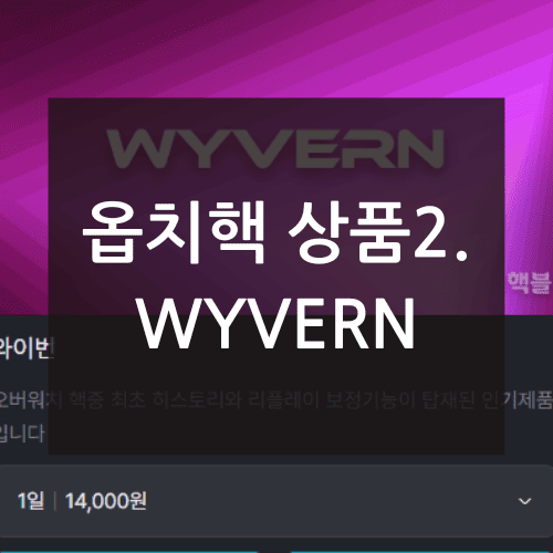 옵치핵 상품2. WYVERN