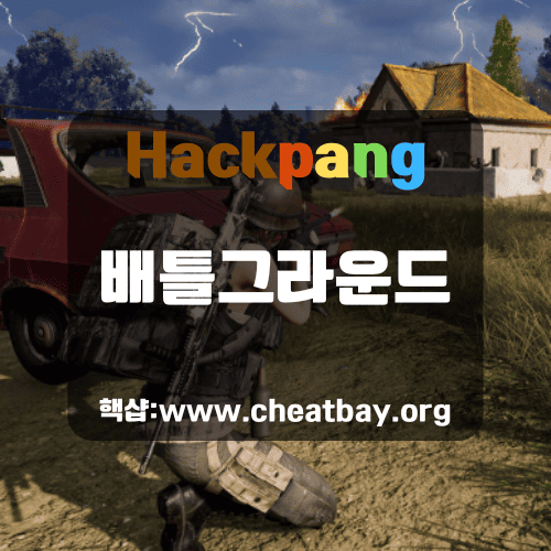 배그핵 인게임이미지
