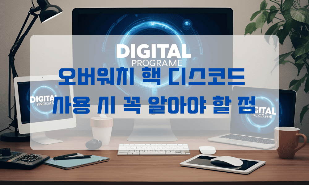 오버워치 핵 디스코드 사용 시 꼭 알아야 할 점